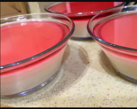Custard With Jelly