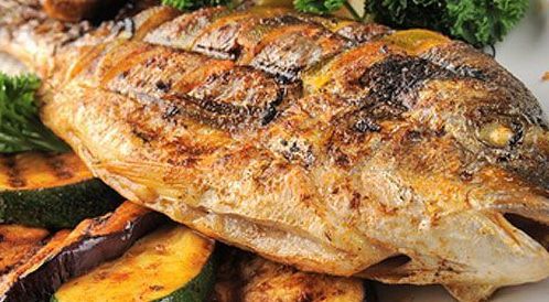 Hamour Fish