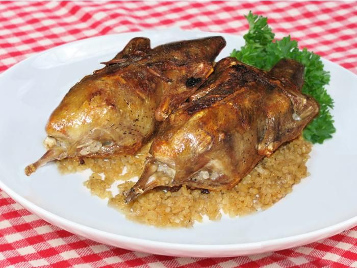 Pigeon Meal