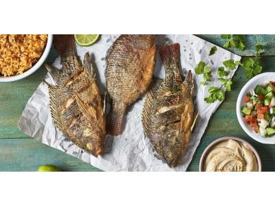 Tilapia Fish Meal