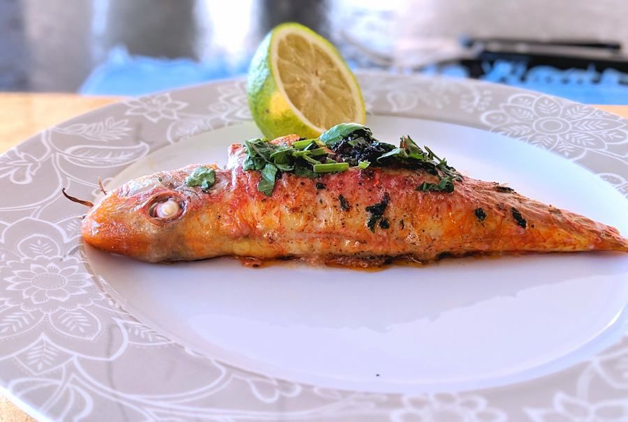Red Mullet Fish Meal