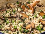 Risotto Funghi