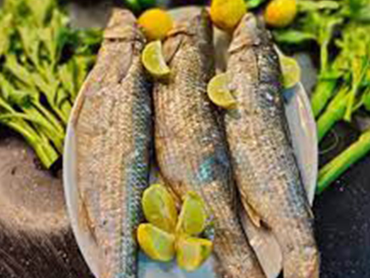 Salted Mullet Dish