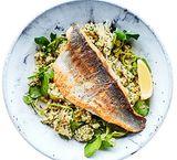 Sea Bass Fish