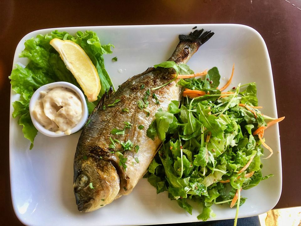 Sea Bream Fish Meal