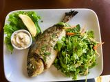 Sea Bream Fish Meal