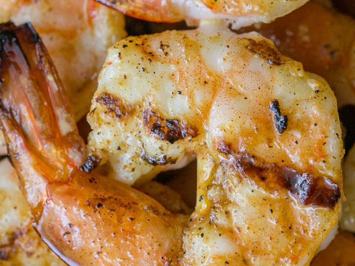 Shrimp