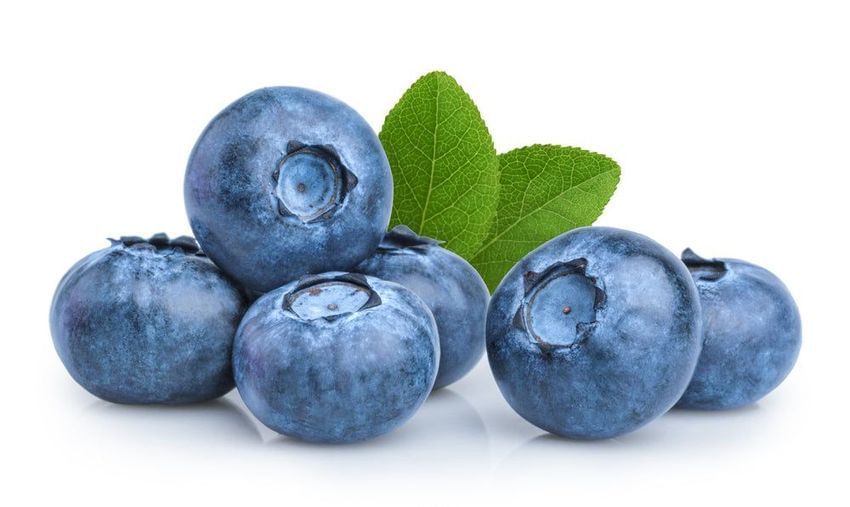 Blueberry