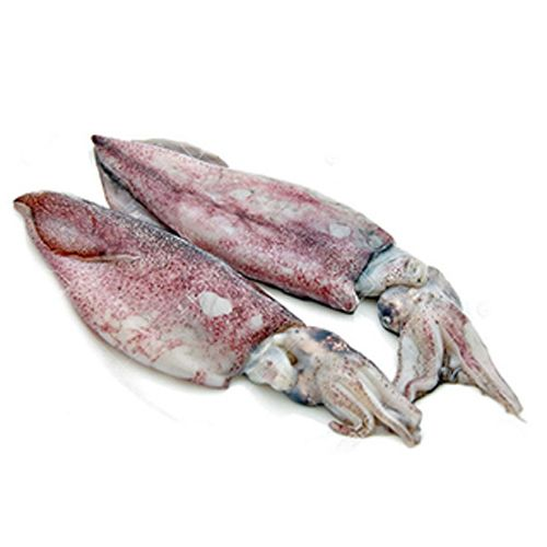 Squid Sandwich