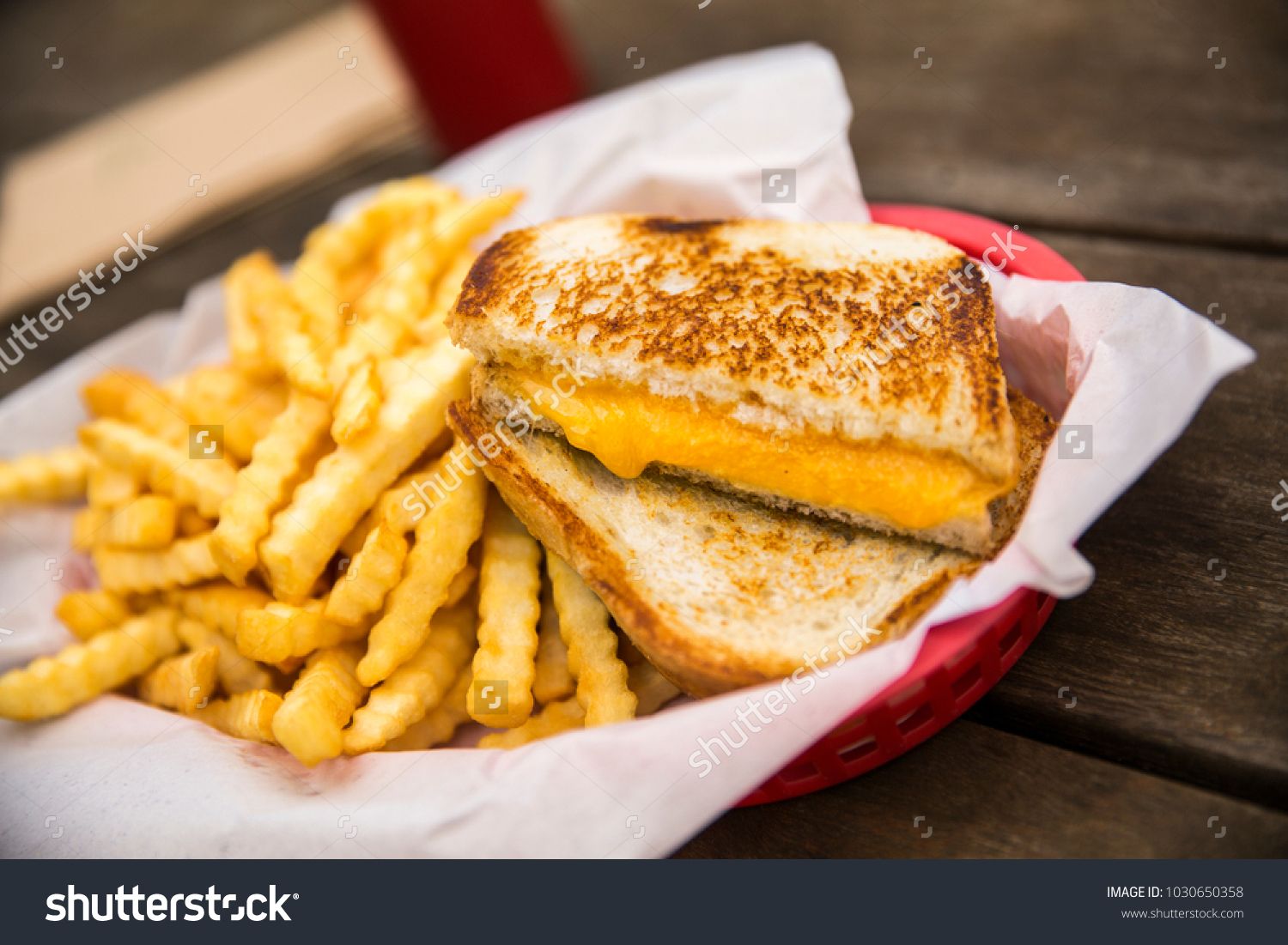 French Fries With Mozzarella Sandwich