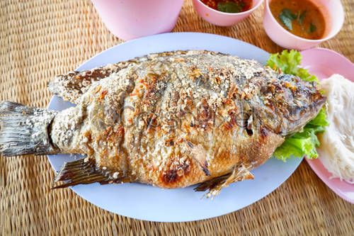 Tilapia Fish Meal