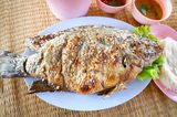Tilapia Fish Meal
