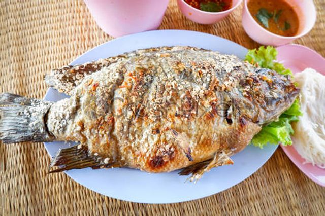 Tilapia Fish Meal
