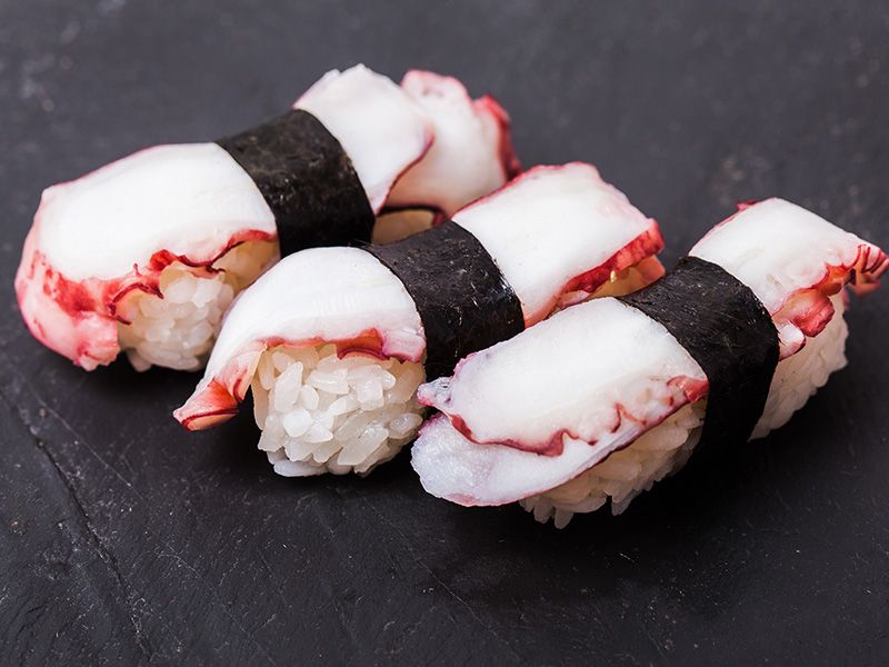 Tako Octopus