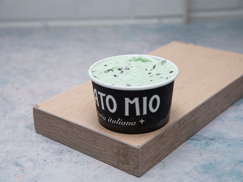 Mint Chocolate Ice Cream