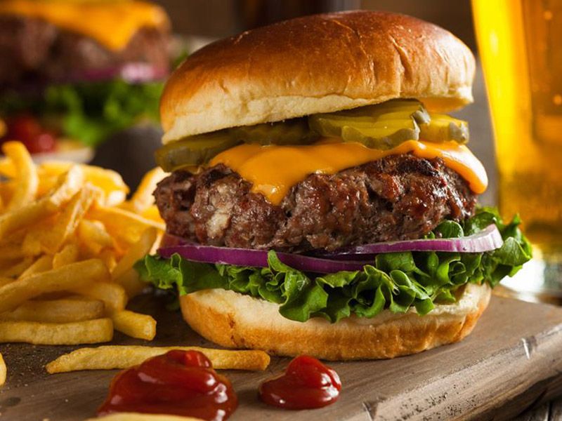Tasty Burger Sandwich