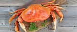 Crabs