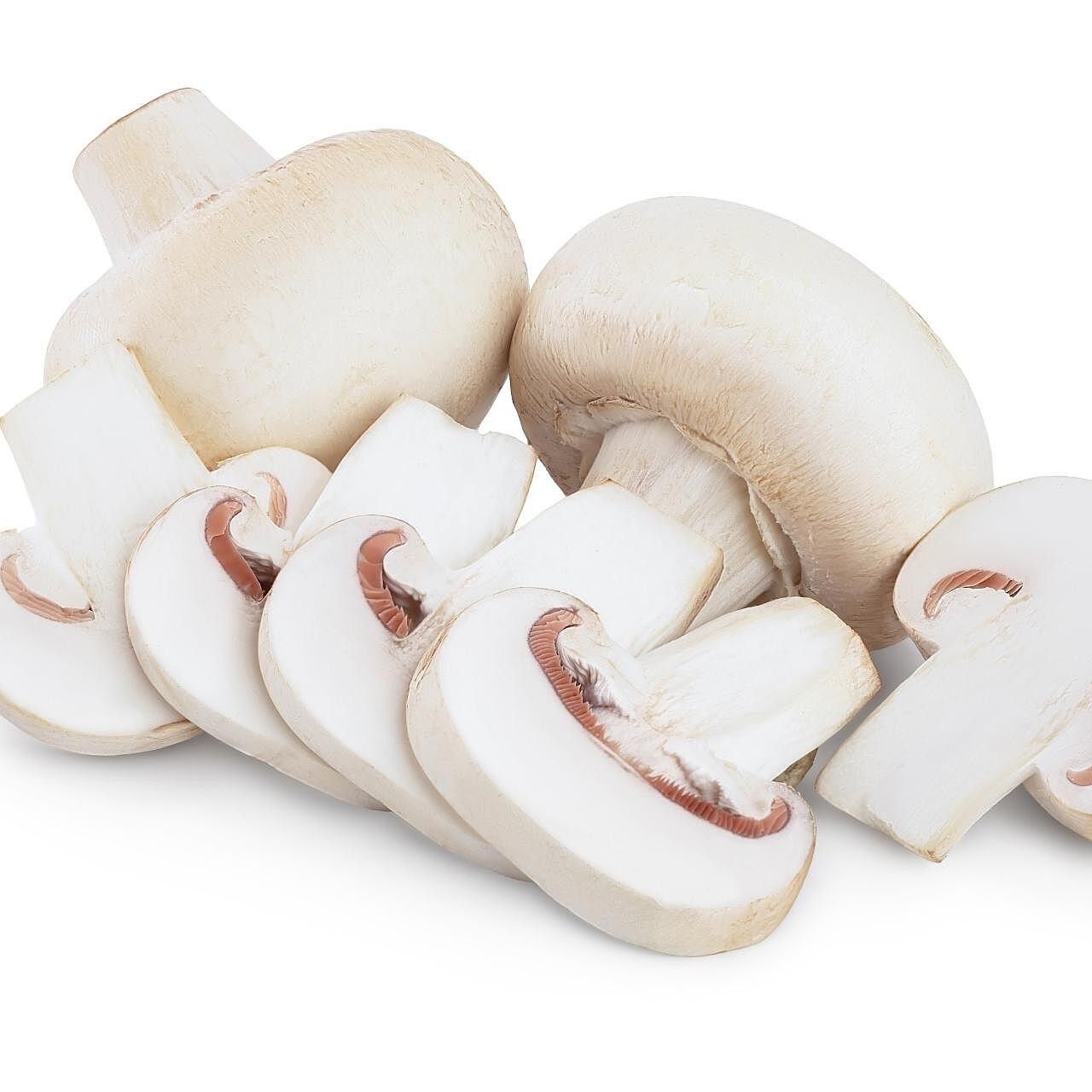 Mushroom