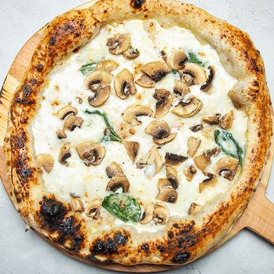 TRUFFLE MUSHROOM