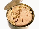 Tuna