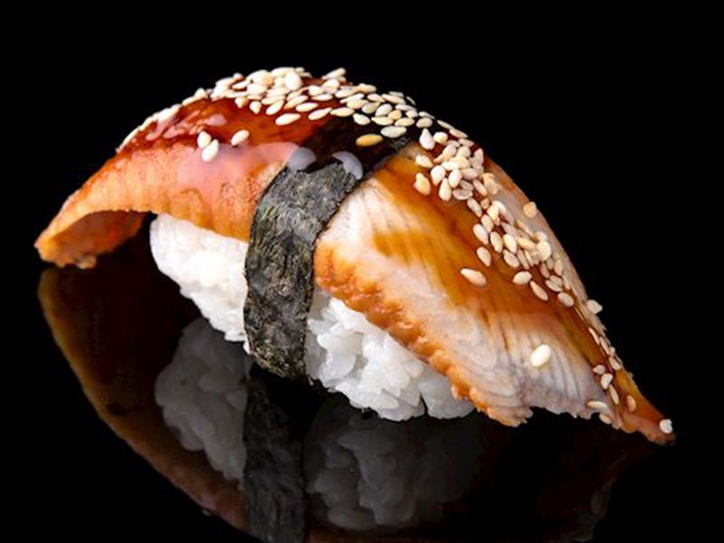 Unagi Eel