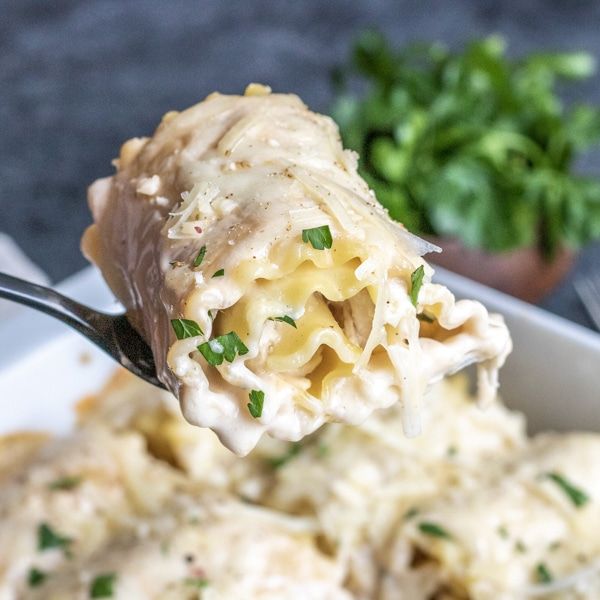 Rolled Chicken Alfredo
