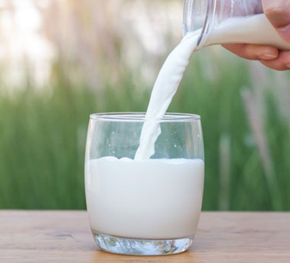 Milk