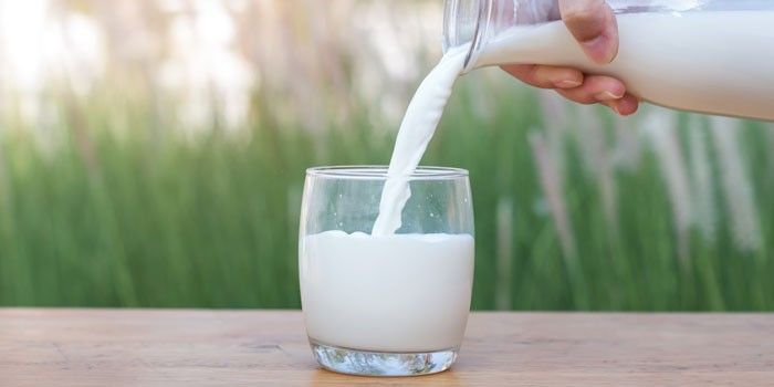 Milk