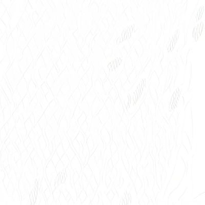 وجبة رويال بلس
