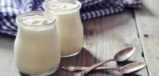 Yogurt With Milk