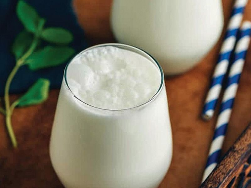 Classic Yogurt