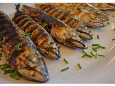 Mackerel Fish