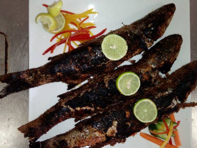 Grilled Grey Mullet Fish