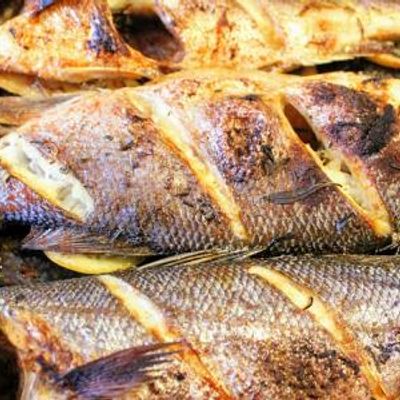 Grey Mullet Fish