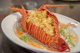 Lobster