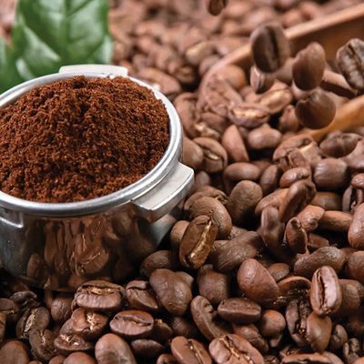 Arabica
