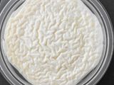 Plain Rice Pudding