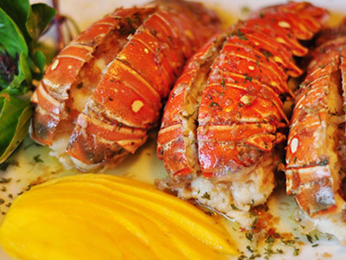 Lobster