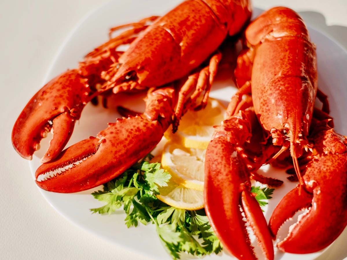 lobster