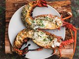 Lobster