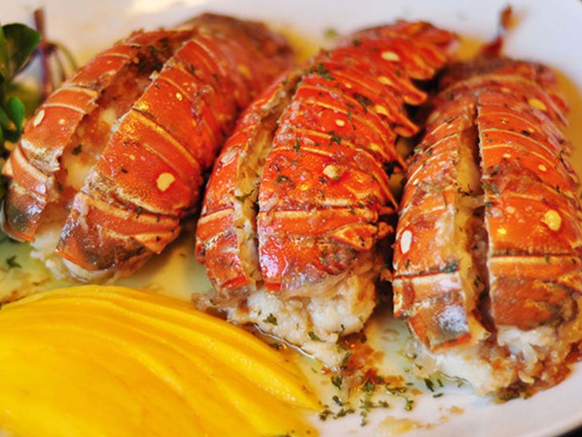 Medium lobster