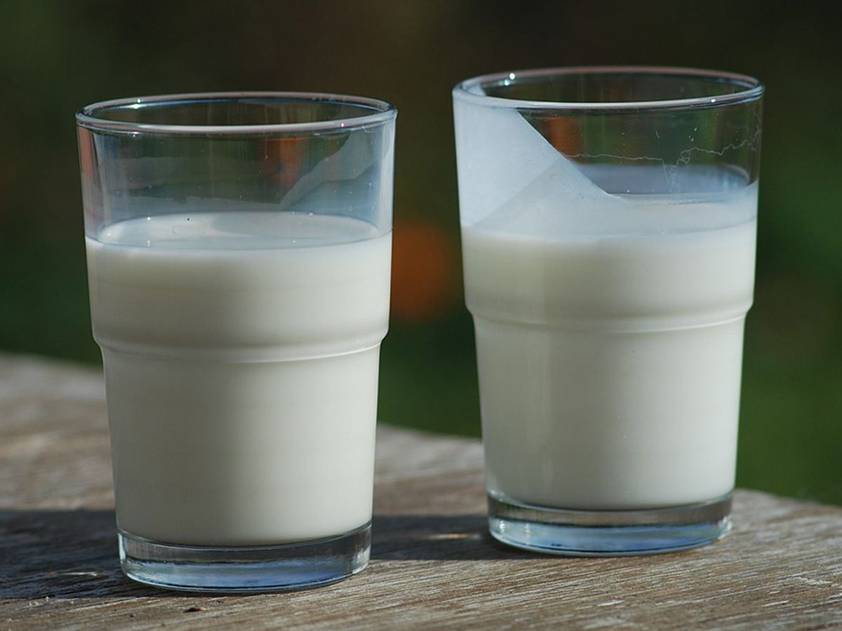 Extra Milk