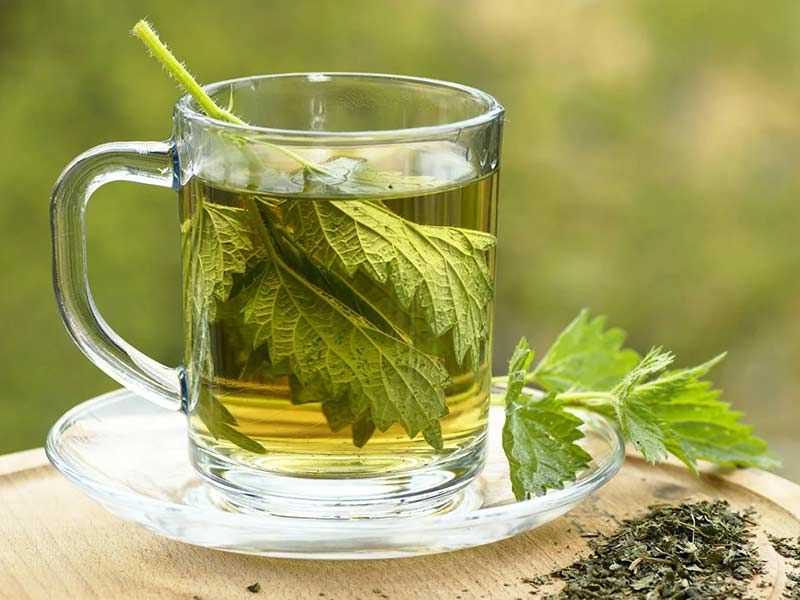Herbs
