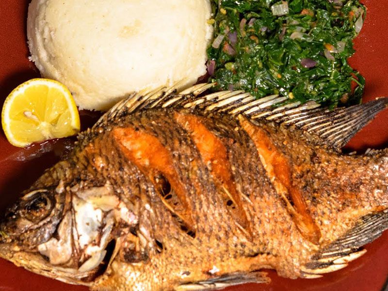 Grilled Grey Mullet Fish With Oil And Lemon