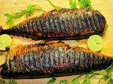 Mackerel