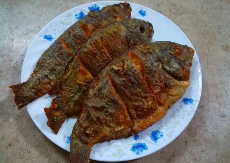 Tilapia Fish