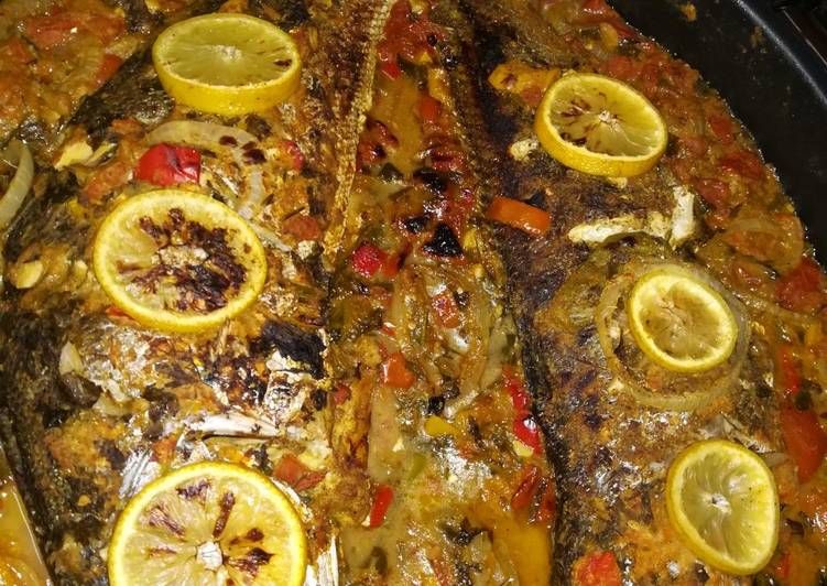Croaker Fish
