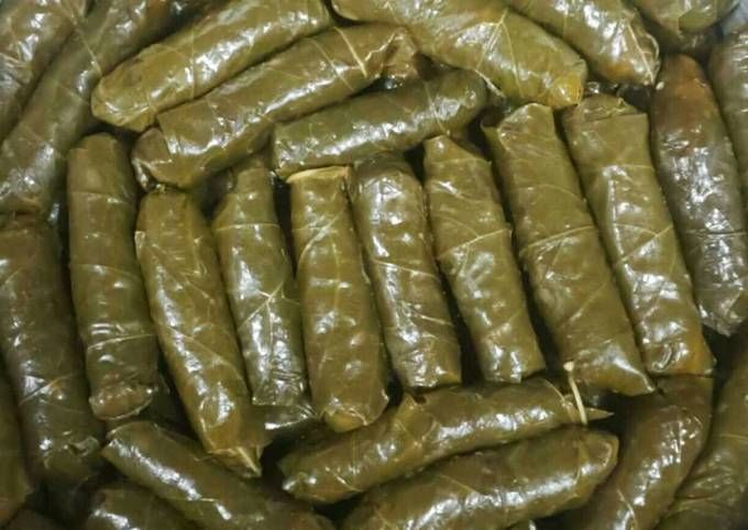 Malfoof Vine Leaves - Kilo