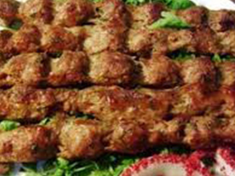 Grilled Kebab