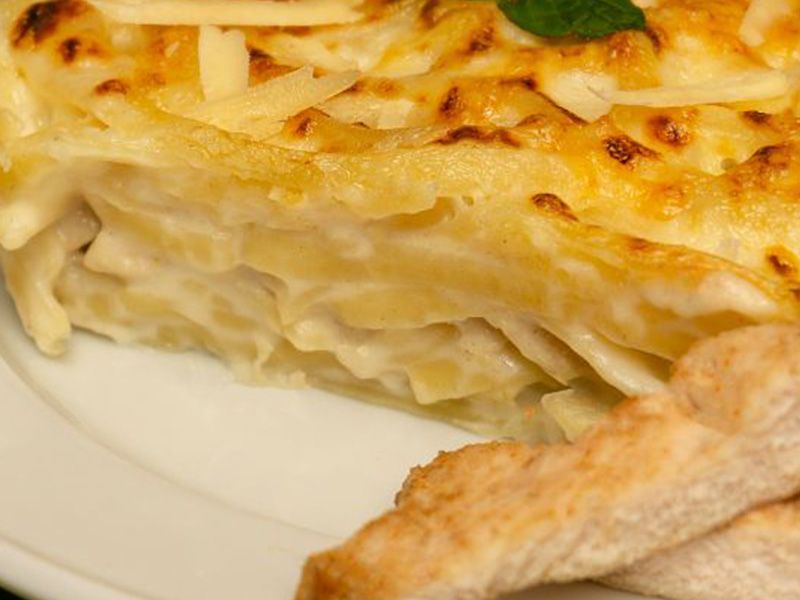 Alfredo Pasta